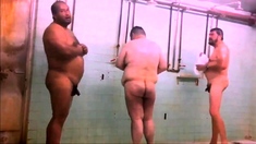 Naked Men Sauna 1
