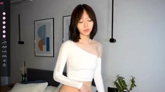 Small titted asian beauty giving blowjob