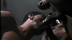 Three black studs with hot bodies love to suck cock and to get fucked in the ass