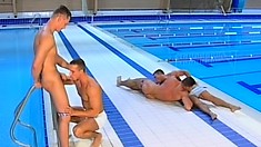 Hunky gay swimmers love to suck cock and to get fucked in the ass